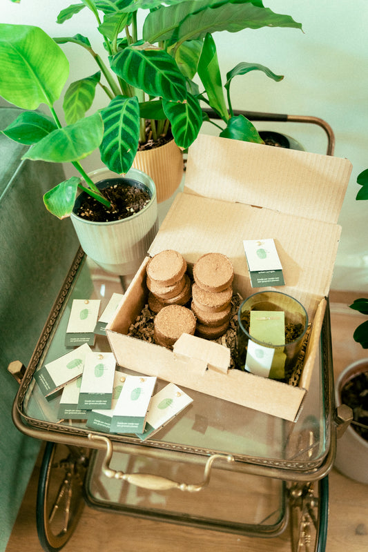 Het Groener Groeipakket Deluxe bevat kokosvezel potgrond tabletten, 10 verschillende zaadsoorten om je eigen kamerplanten te zaaien en een handgemaakt upcycled potje gemaakt van een wijnfles